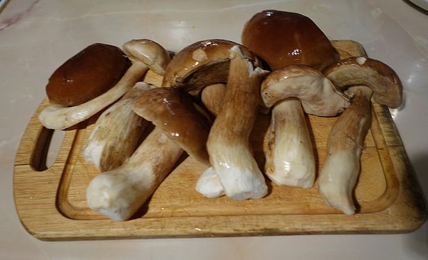 грибовница из свежих грибов калорийность