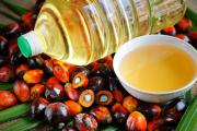 Пальмовое масло вред и польза