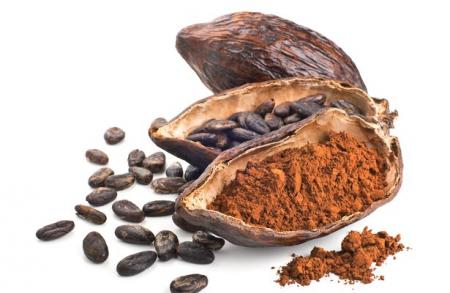 Плод дерева какао
