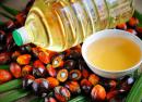 Пальмовое масло вред и польза