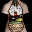 Значение овощей в питании человека