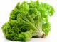 Зеленый листовой салат: состав и польза